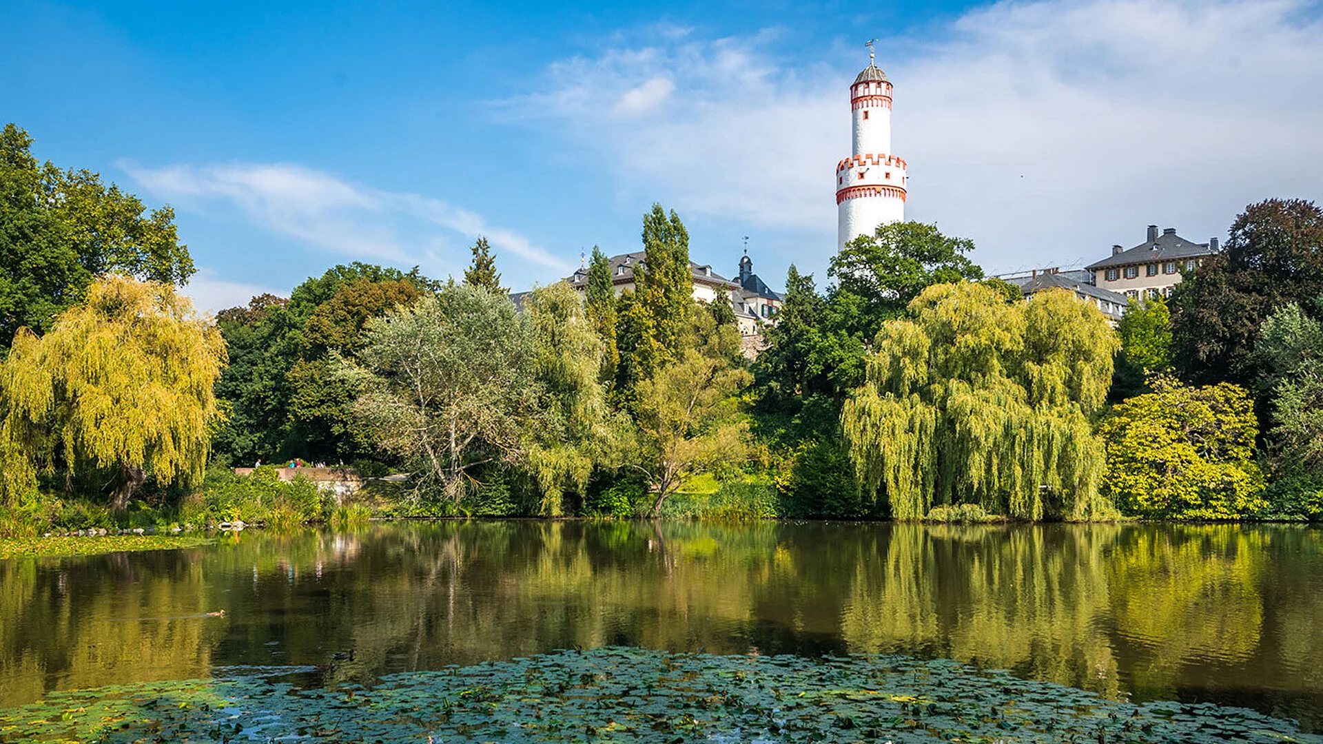 View across Bad Homburg's spa gardens with a water lily pond, lush greenery and the White Tower in the background.