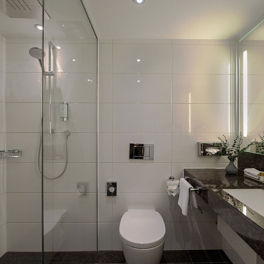 Bathroom Modern bathroom in Maritim Hotel Darmstadt with glass shower, elegant sink counter, and stylish details.