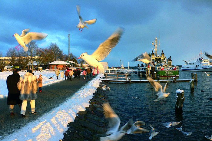 Travemuende in winter