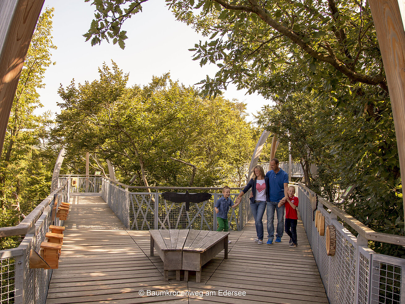 Treetop path at the Edersee Treetop path at the Edersee