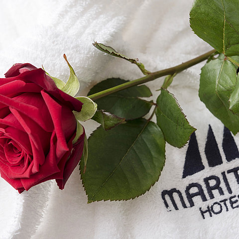 Bathrobe | Maritim Hotel Gelsenkirchen