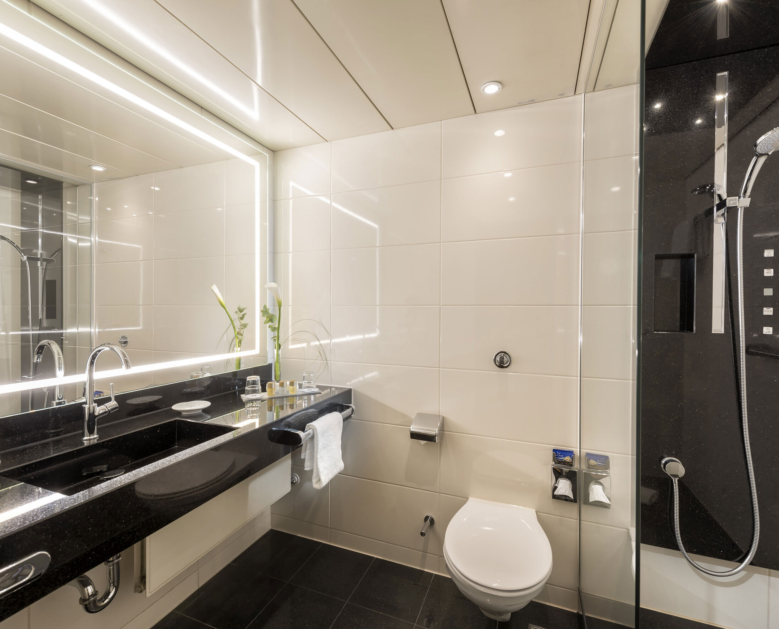 Bathroom with shower Modern bathroom with spacious shower, elegant sink, premium toiletries, and sleek design at the Maritim Hotel Bonn.