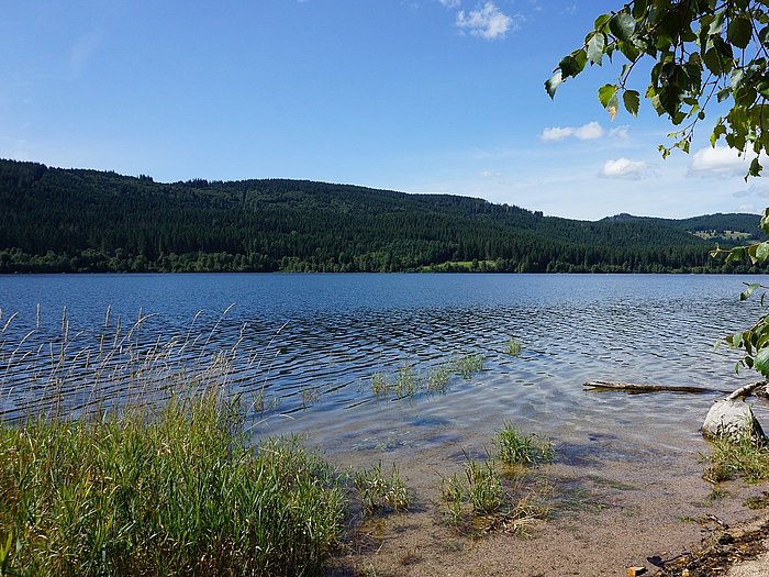 Schluchsee